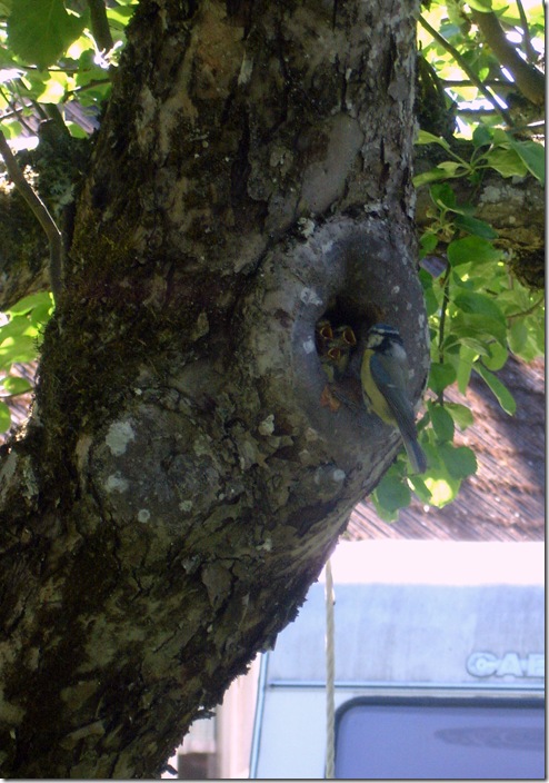 DSC07321