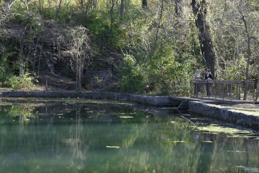 Improvements to the park will enhance the parks appearance around the parks trails as well as the greenway trails. (Photo By: Kenrick Nobles)