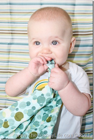 IMG_0079 (2) IMG_0079 (2)