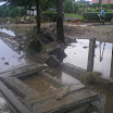 IMGP0553.JPG
