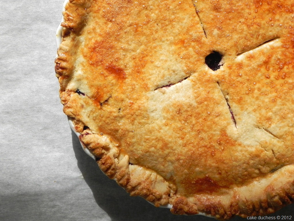 [blueberry-limoncello-pie-with-sourdough-crust-1%255B1%255D.jpg]
