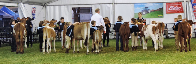 All breeds Junior Handlers.jpg