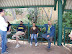 South Africa Day 1 - On Safari
