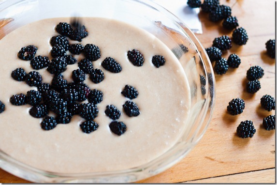 blackberry cobbler-3494