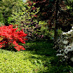 Gleaner Gardens 046.JPG