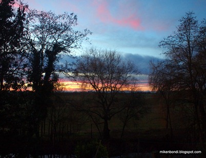 8.13am Pyrenees over pond 8.13am Pyrenees over pond