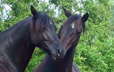 [20140911105813-%25284%2529%255B3%255D.jpg]