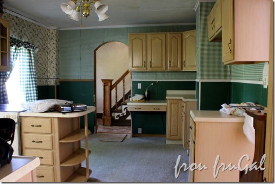 Kitchen View IMG_4503-001
