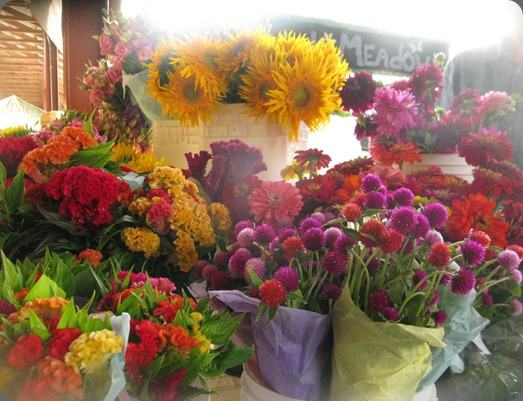 village IMG_8724 bluebird meadows blogspot village IMG_8724 bluebird meadows blogspot