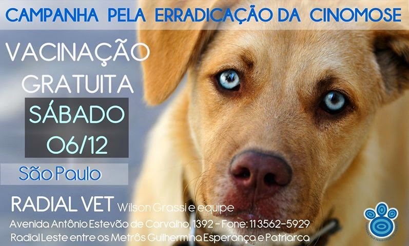 [cinomose%255B3%255D.jpg]