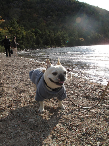 Oh goody!  The sun came out.  The beach is always nicer when the sun is shining.