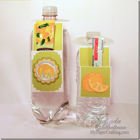 water-bottle-treat-holder-svg-template-450