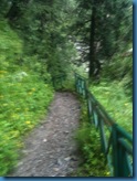 Trek Route Valley of flowers