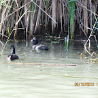 IMG_8067.JPG