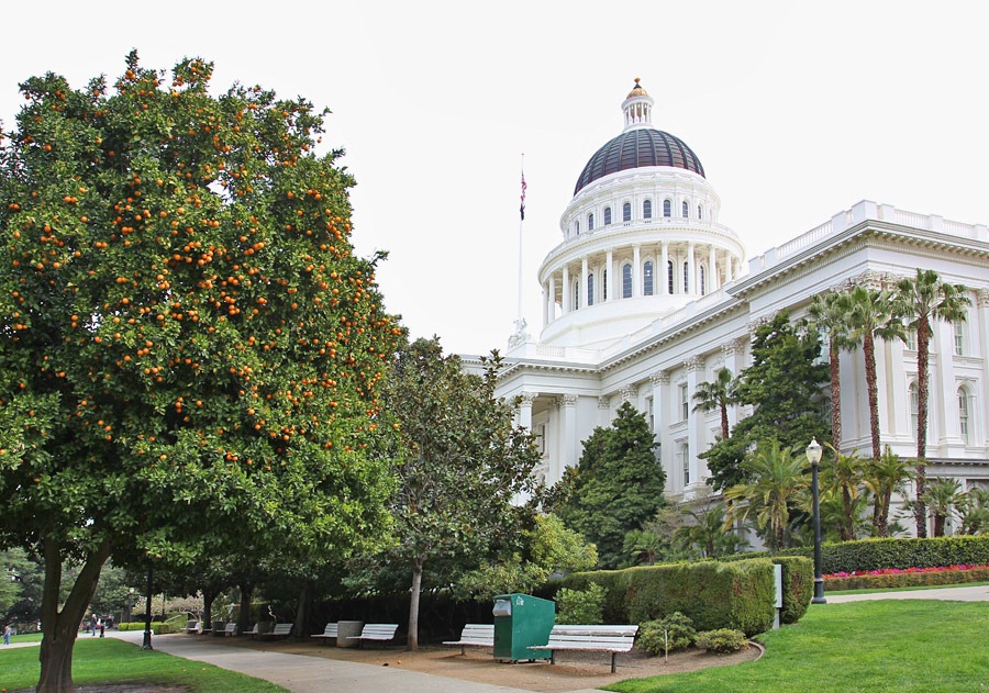 [120317_Capitol_Park_2361.jpg]