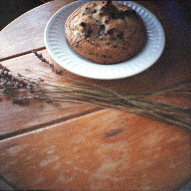 [Diana-1.121%255B2%255D.jpg]