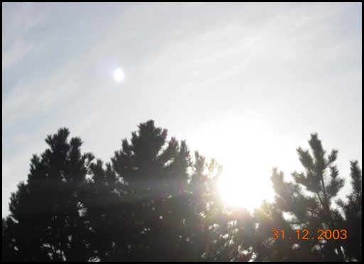 sunlight