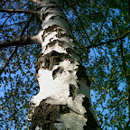 PICT0020.JPG
