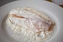 baked-tilapia-tomato-parmesan-3