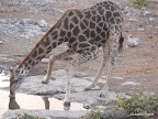 Etosha Nationalpark