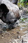 It smells like water.