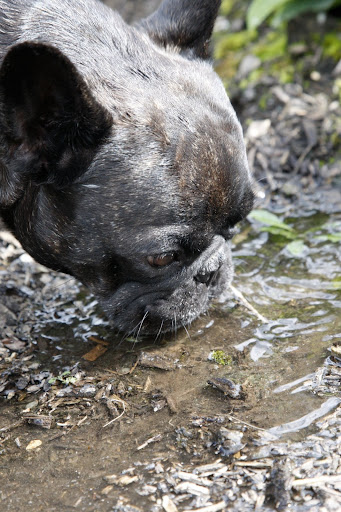 It smells like water.