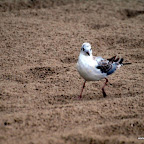 20100822_163_small.JPG