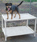 One idea put forth on the Kuranda Facebook page is to host a bed drive to cover the cost of multiple beds.