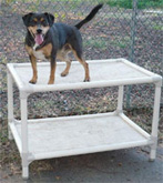 One idea put forth on the Kuranda Facebook page is to host a bed drive to cover the cost of multiple beds.