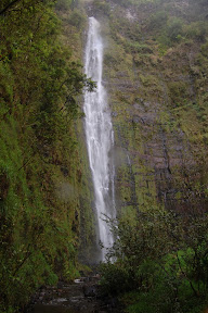 DSC_1043.jpg