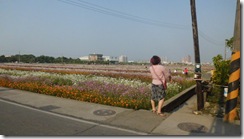 IMG_1136 IMG_1136