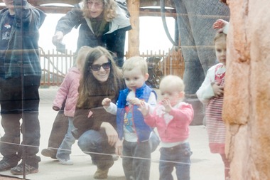 03 28 13_meerkats