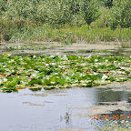 DSCN8296.JPG