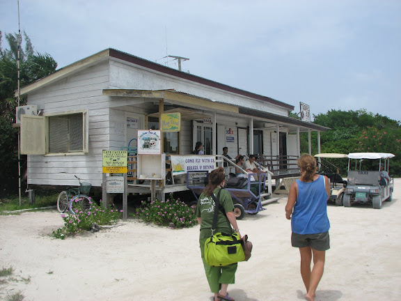 The “Main Terminal”