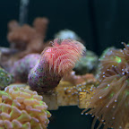 DSC_2101.jpg