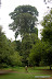 Natura :: Img0489.jpg