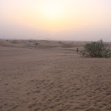 IMG_5316.JPG