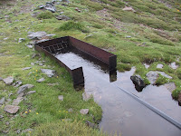 IMG_4894.JPG