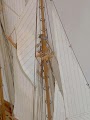 bluenose-14.jpg