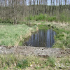 rz. Gryżynka dsc06278.jpg
