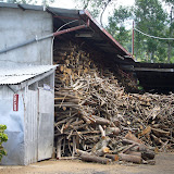 Wood for the leaf drying ovens