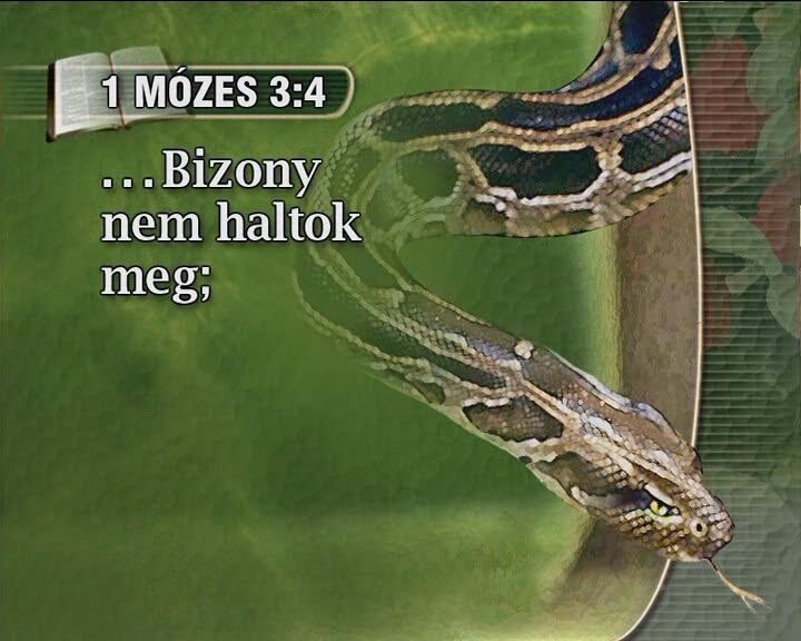 [PDVD_029%255B2%255D.jpg]