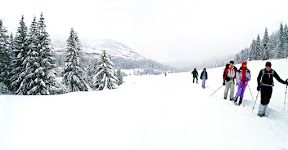 untitled_012_untitled_015-4 images-Edit.jpg