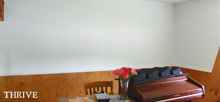 paint.15