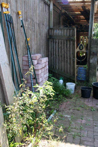 [IMG_1539%255B3%255D.jpg]