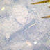 P1120701