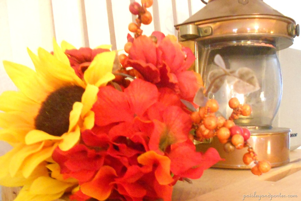 [DSCN2646-1%255B3%255D.jpg]