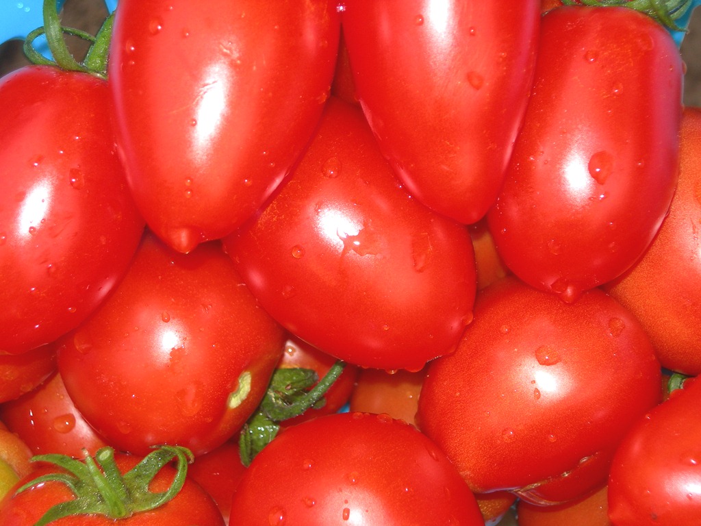 [DSCN4214%255B7%255D.jpg]