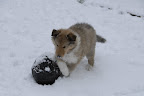 _DSC0079.JPG