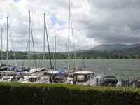 IMG_2831 IMG_2831
